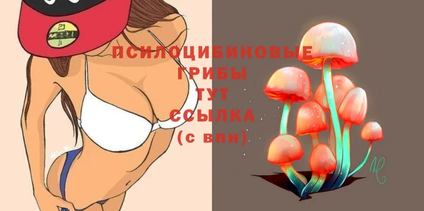 шишки Арсеньев