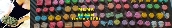 шишки Арсеньев