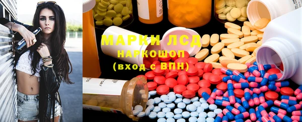 шишки Арсеньев