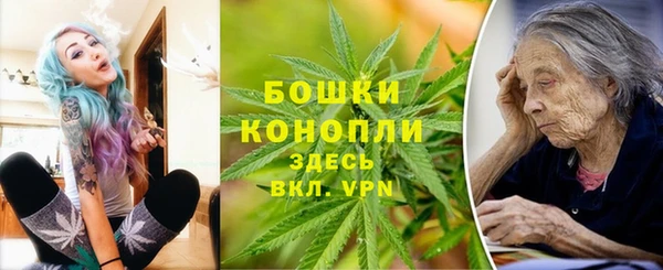 PSILOCYBIN Армянск