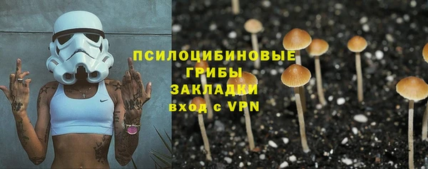 шишки Арсеньев