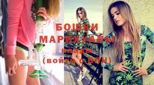 шишки Арсеньев