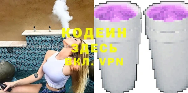 шишки Арсеньев